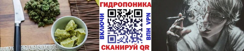 KRAKEN вход  продажа наркотиков  Судогда  Печенье с ТГК марихуана 