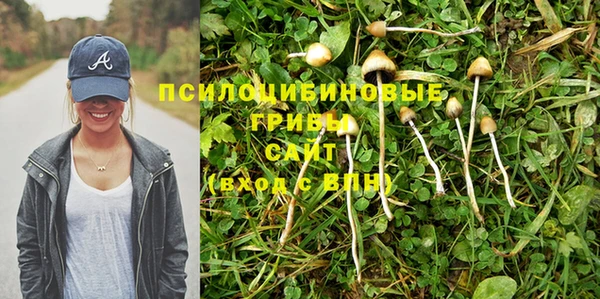 бутират Зерноград